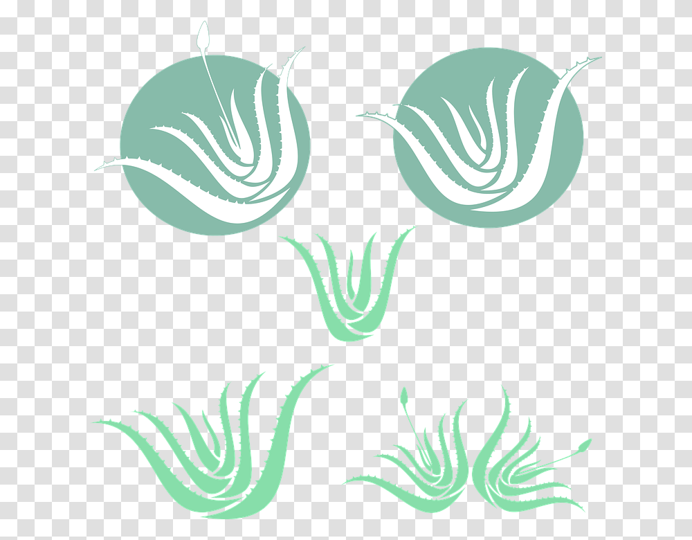 Aloe Vera Green Silhouette Medicinal Plant Aloe Vera Silhouette, Pattern, Cabbage Transparent Png