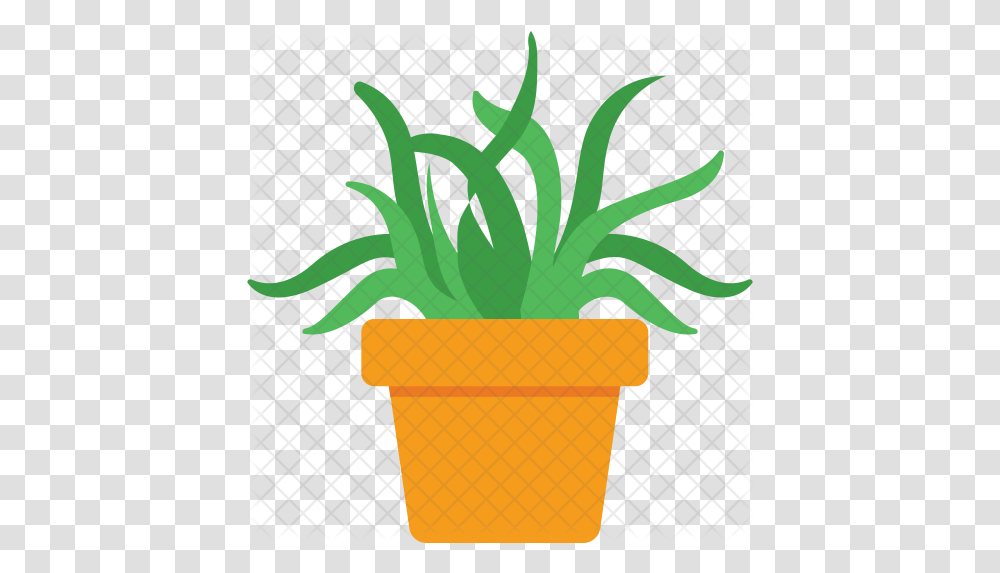 Aloe Vera Icon Flower Pot Clipart Succulents, Plant, Potted Plant, Vase, Jar Transparent Png
