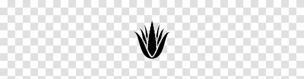 Aloe Vera Icons Noun Project, Gray, World Of Warcraft Transparent Png