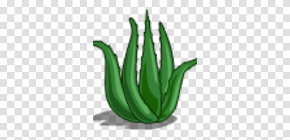 Aloe Vera Illustration, Plant, Banana, Fruit, Food Transparent Png