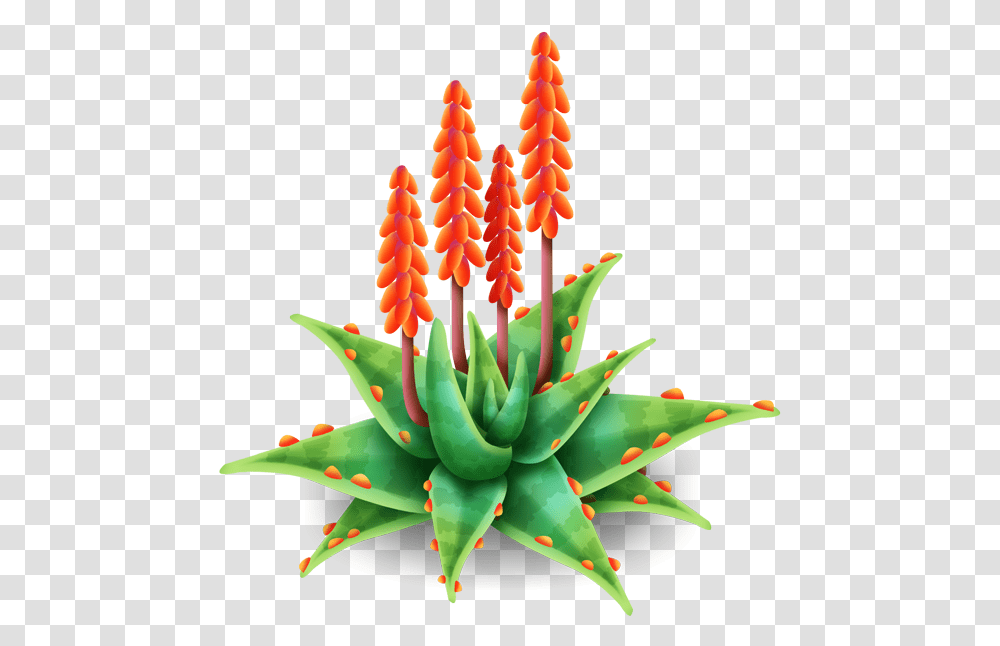 Aloe Vera Images Free Aloe Flower, Plant, Birthday Cake, Dessert, Food Transparent Png