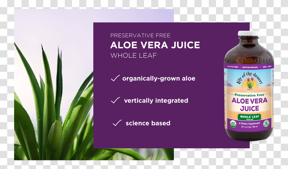 Aloe Vera Juice Whole Leaf Aloe Vera, Advertisement, Flyer, Poster, Paper Transparent Png