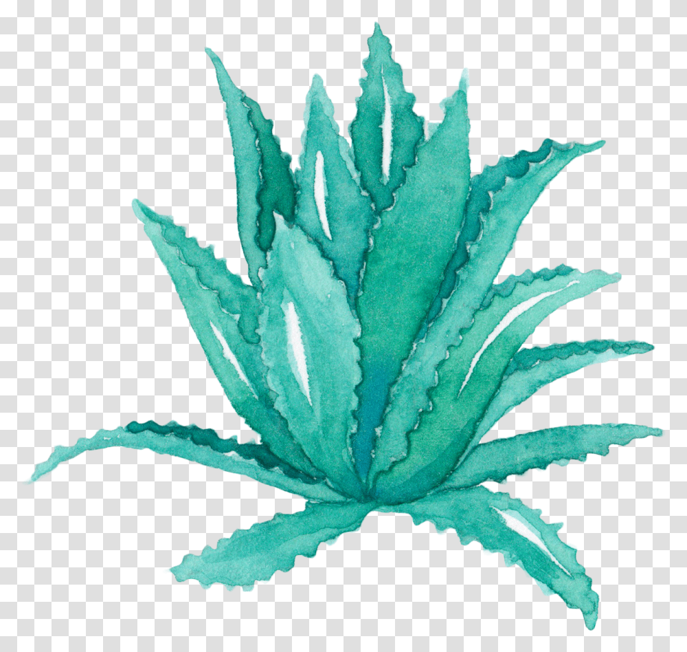 Aloe Vera Leaf Agave Watercolor Painting Succulent Aloe Vera Watercolor, Plant Transparent Png