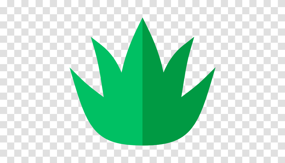 Aloe Vera, Leaf, Plant, Logo Transparent Png