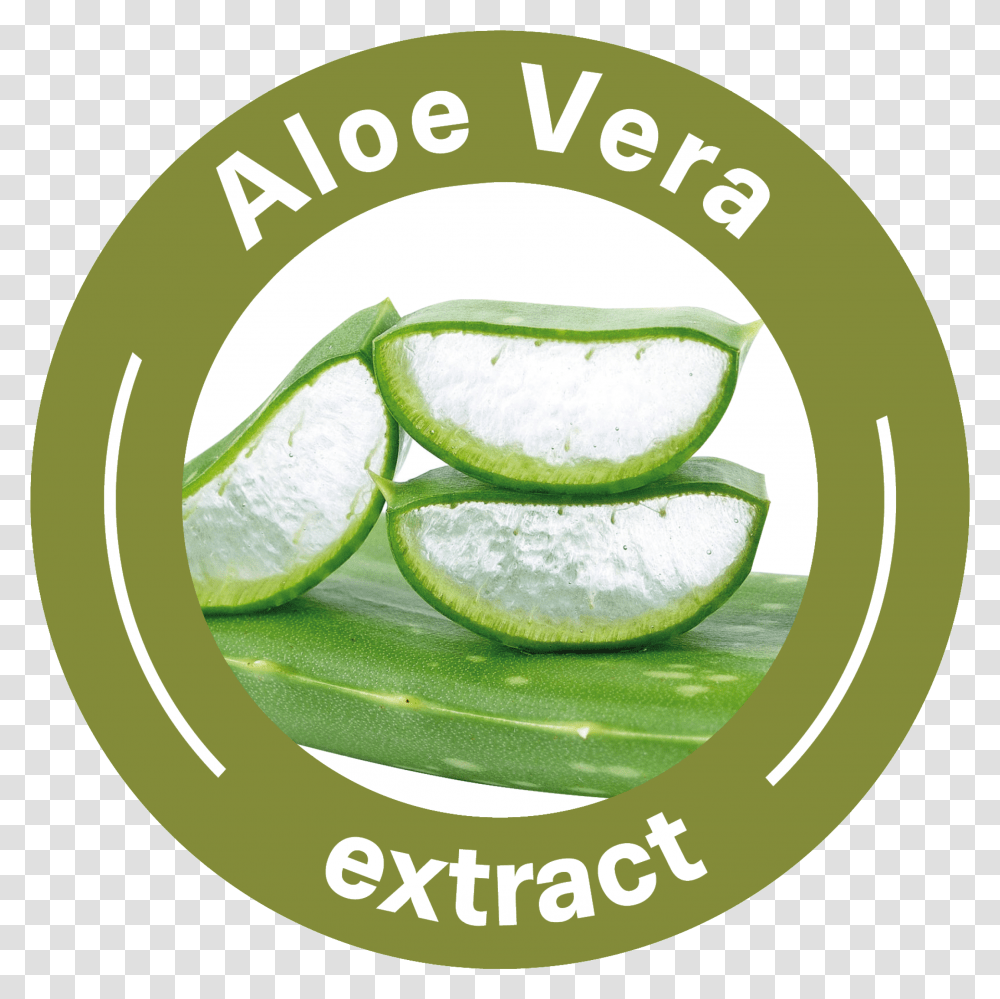 Aloe Vera Textile Transparent Png