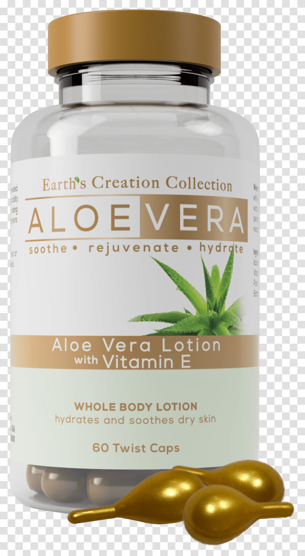 Aloe Vera Vitamin, Potted Plant, Vase, Jar, Pottery Transparent Png
