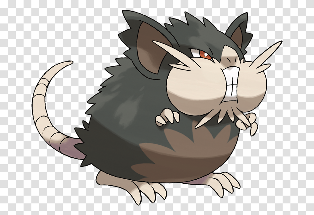 Alolanraticatepng 800626 Pokemon Alola Pokemon Alolan Raticate, Animal, Mammal, Plant, Mole Transparent Png