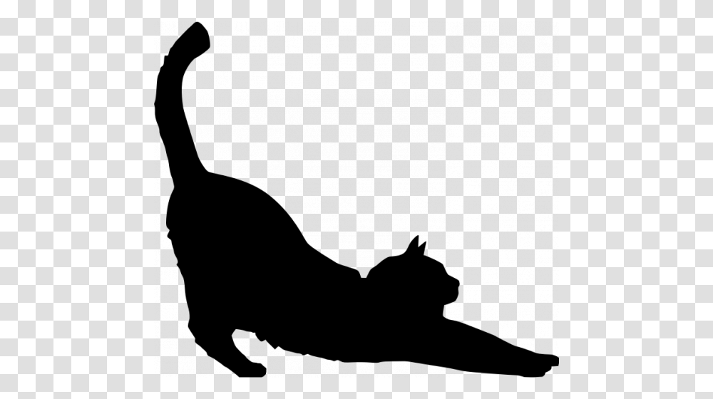 Alongamento Imagem De Vetor Silhueta Gato Vectores De, Gray, World Of Warcraft Transparent Png