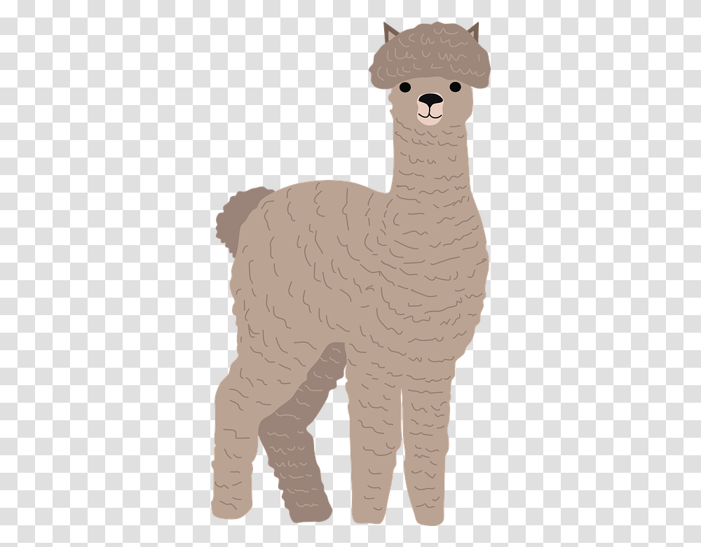 Alpaca Animal Llama Animal Figure, Bird, Dodo Transparent Png
