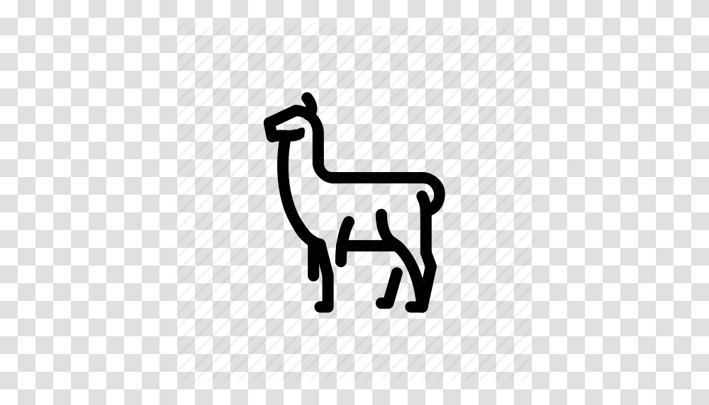 Alpaca Animal Llama Icon, Mammal, Silhouette, Wildlife, Giraffe Transparent Png