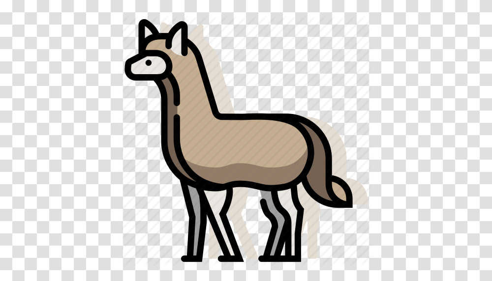 Alpaca Animal Llama Mammal Wildlife Zoo Icon, Label, Deer, Chair, Horse Transparent Png