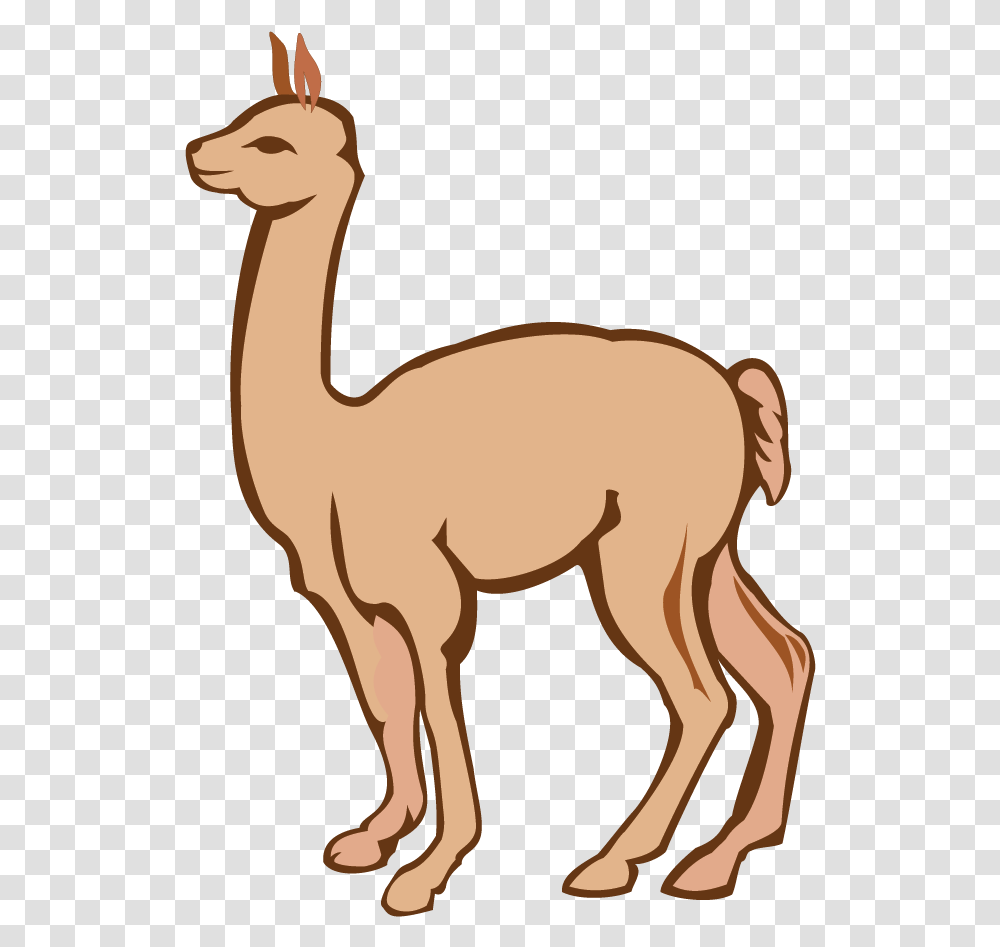 Alpaca Clipart Animal Figure, Mammal, Antelope, Wildlife, Camel Transparent Png