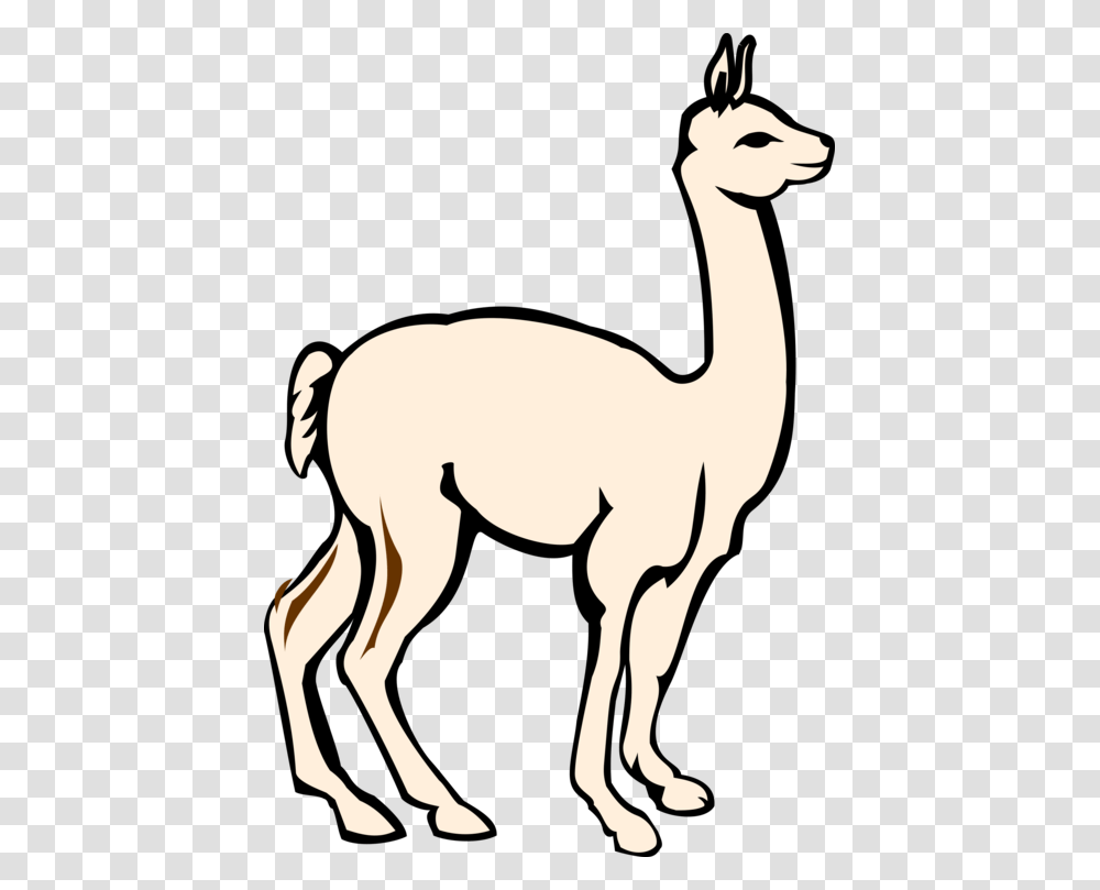 Alpaca Llama Mammal Suzuha Amane Computer Icons, Animal, Antelope, Wildlife, Gazelle Transparent Png
