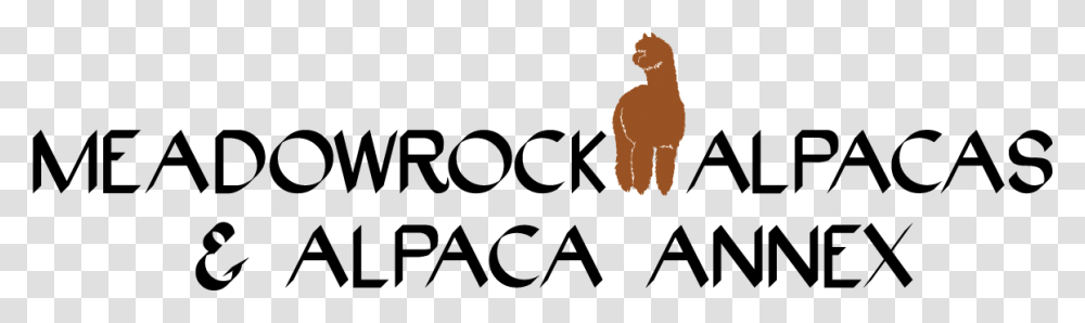 Alpaca, Alphabet, Logo Transparent Png