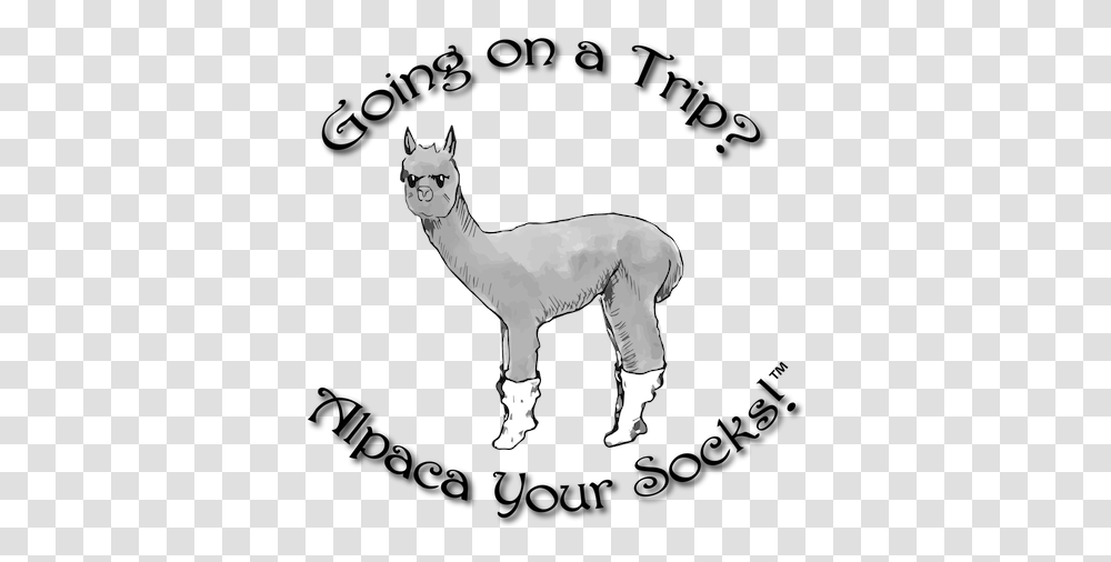 Alpaca Your Socks Home Animal Figure, Mammal, Horse, Silhouette, Llama Transparent Png