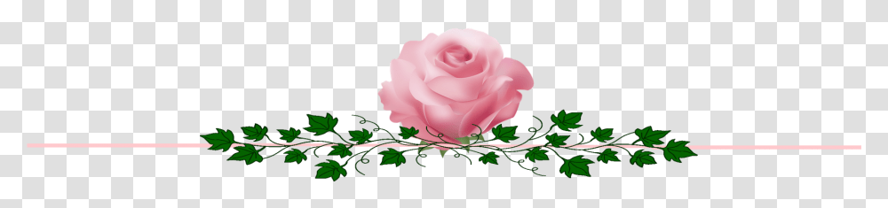 Alpha Kappa Alpha Tea Rose, Flower, Plant, Blossom, Petal Transparent Png
