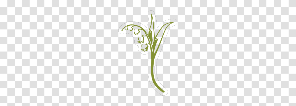 Alpha Phi Lily Of The Valley Sticker, Plant, Vegetable, Food, Produce Transparent Png