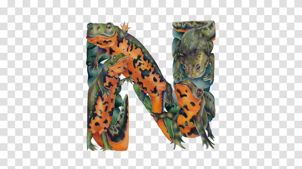 Alphabet, Animal, Sea Life, Reptile Transparent Png