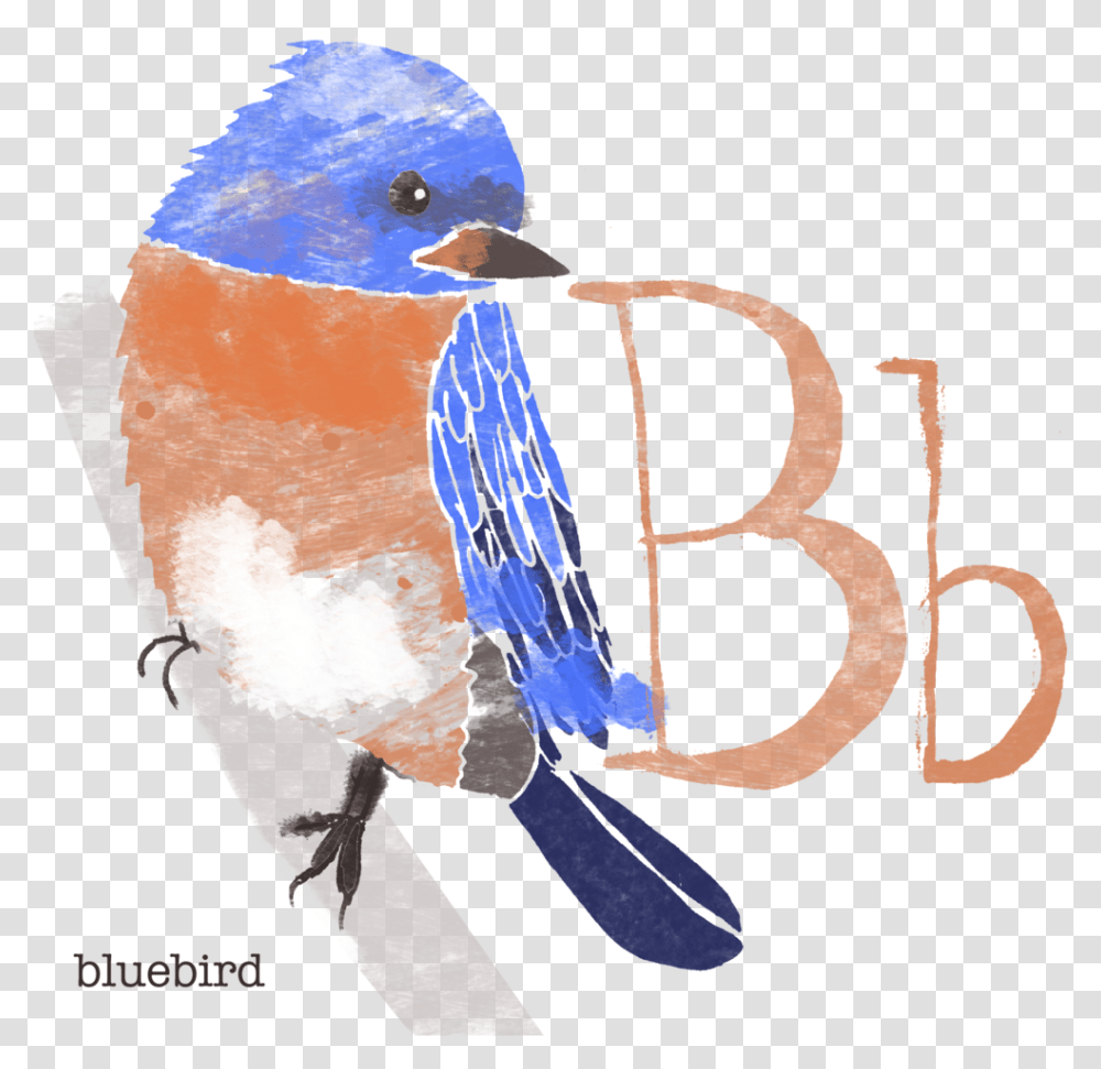 Alphabet Bird Poster Stacy Kathryn Holst Eastern Bluebird, Animal, Jay, Blue Jay, Bee Eater Transparent Png