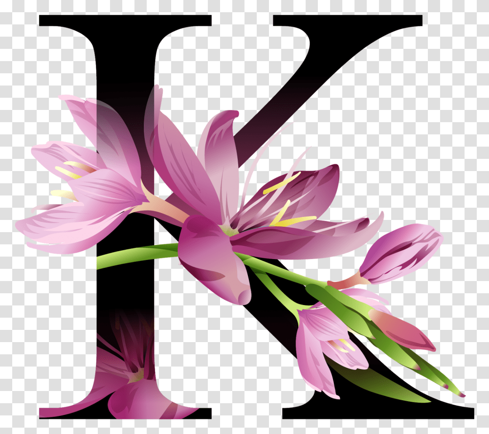 Alphabet Flowers, Plant, Blossom, Lily, Dahlia Transparent Png