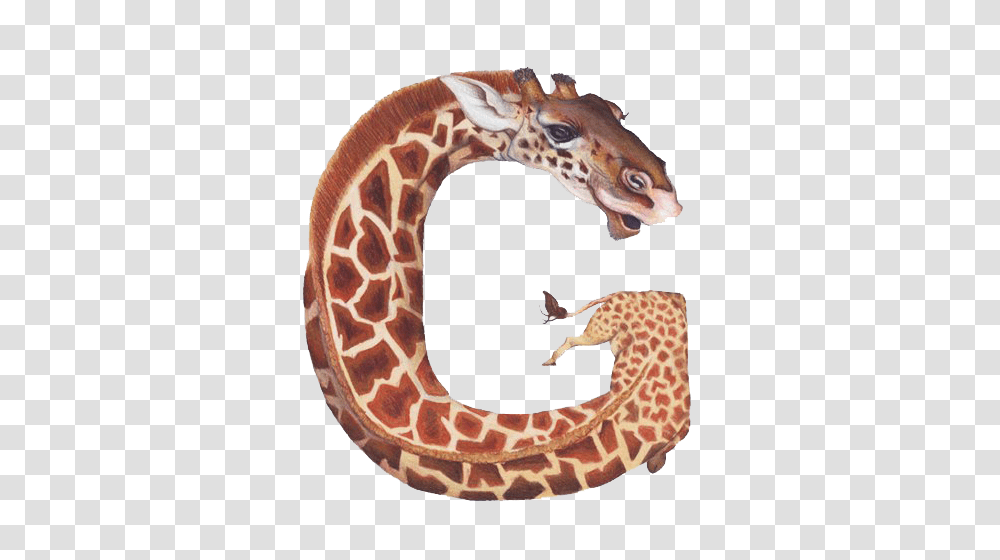 Alphabet, Fungus, Animal, Reptile Transparent Png