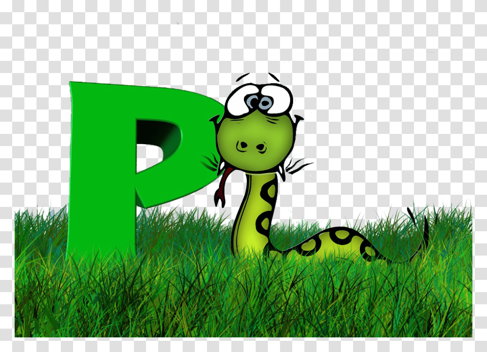 Alphabet, Grass, Plant, Green Transparent Png