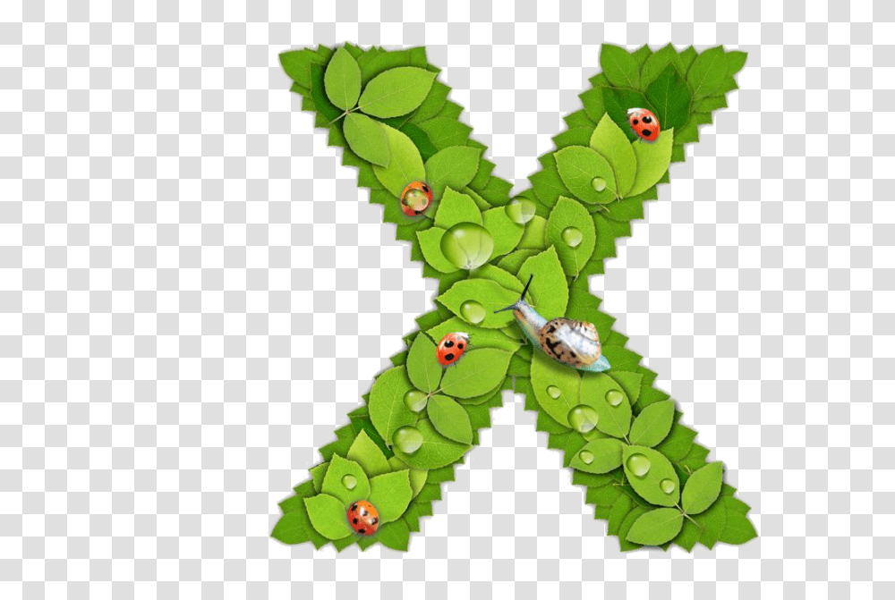 Alphabet, Green, Plant, Leaf Transparent Png