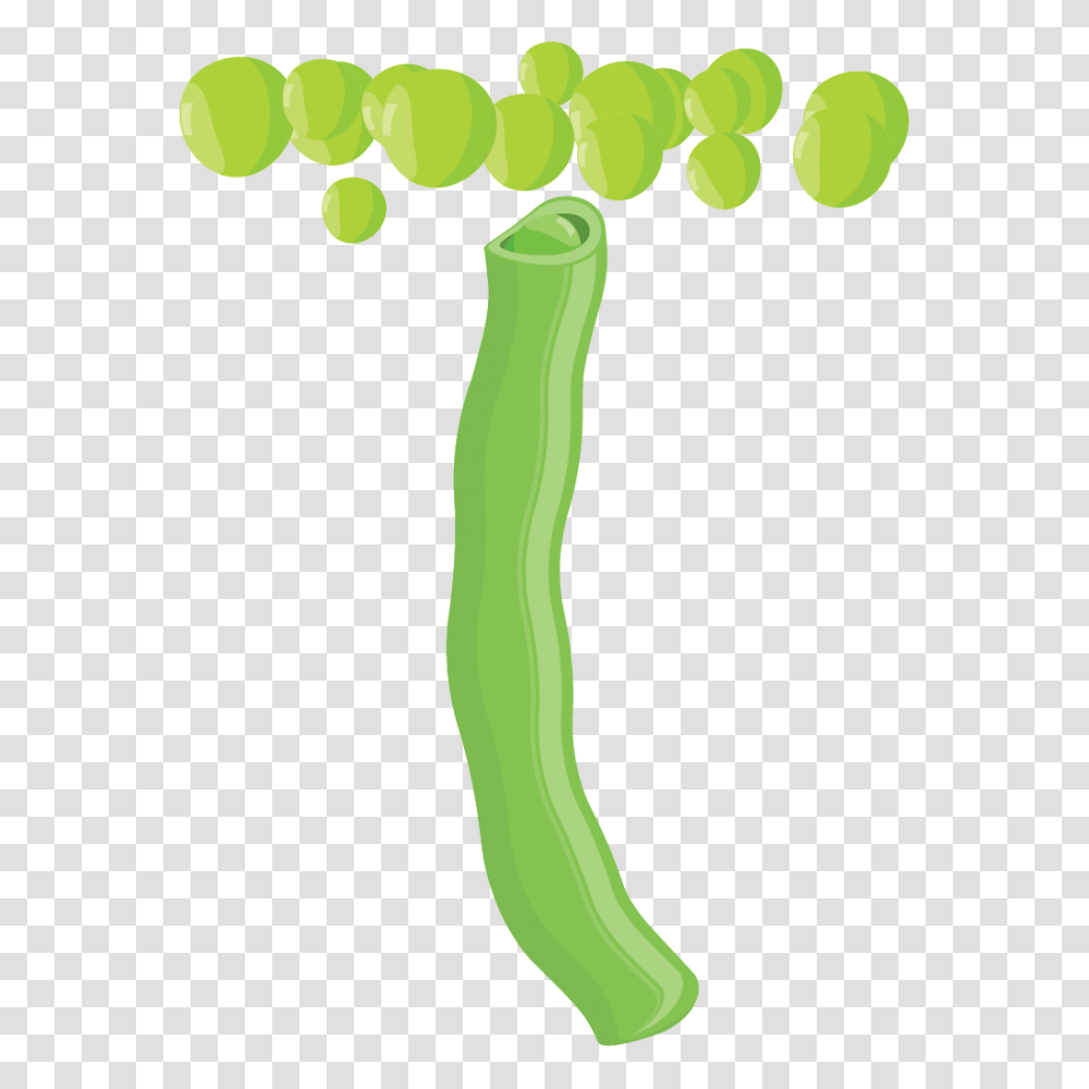 Alphabet, Green, Sock, Shoe Transparent Png