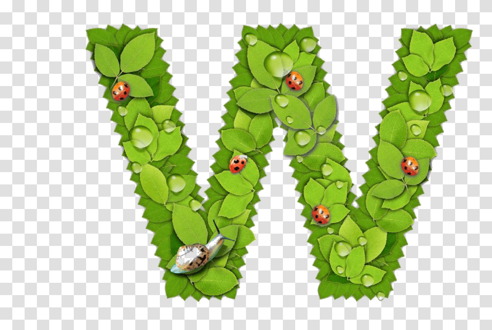 Alphabet, Leaf, Plant, Green Transparent Png