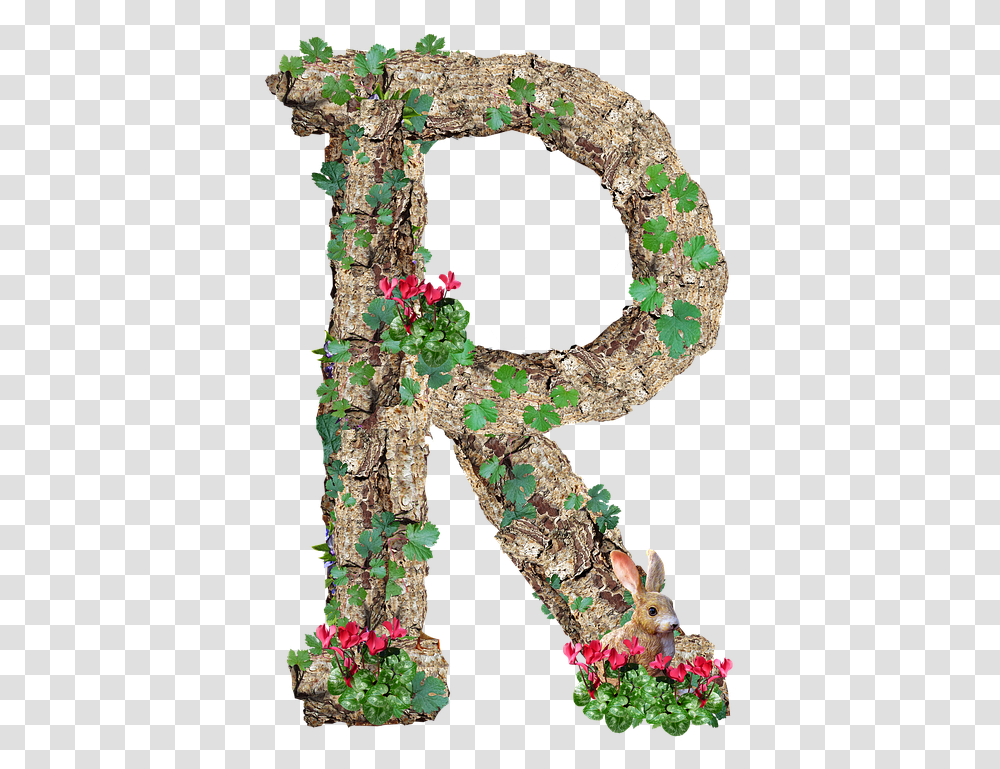 Alphabet Letter R Rustic Timber Bark Stylish R Photo Download, Hole, Wreath Transparent Png