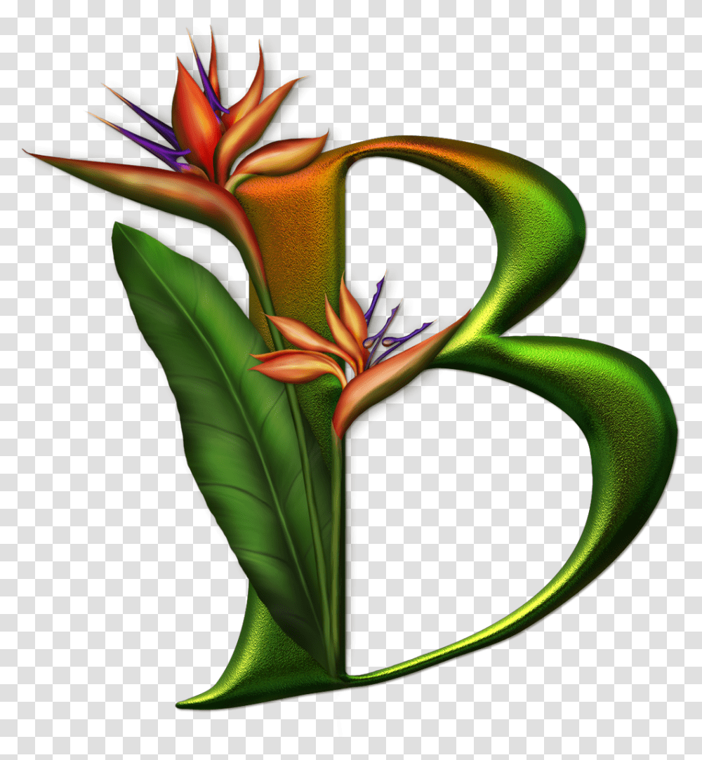 Alphabet, Plant, Flower, Blossom, Flower Arrangement Transparent Png