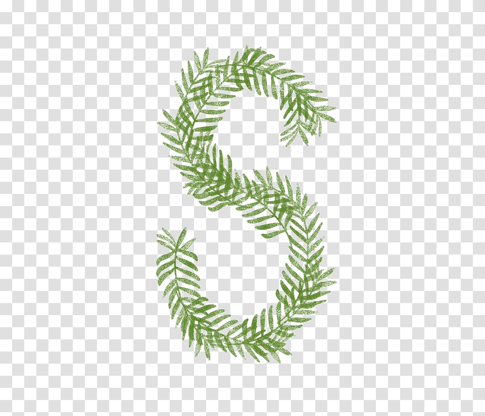 Alphabet, Plant, Green, Leaf Transparent Png