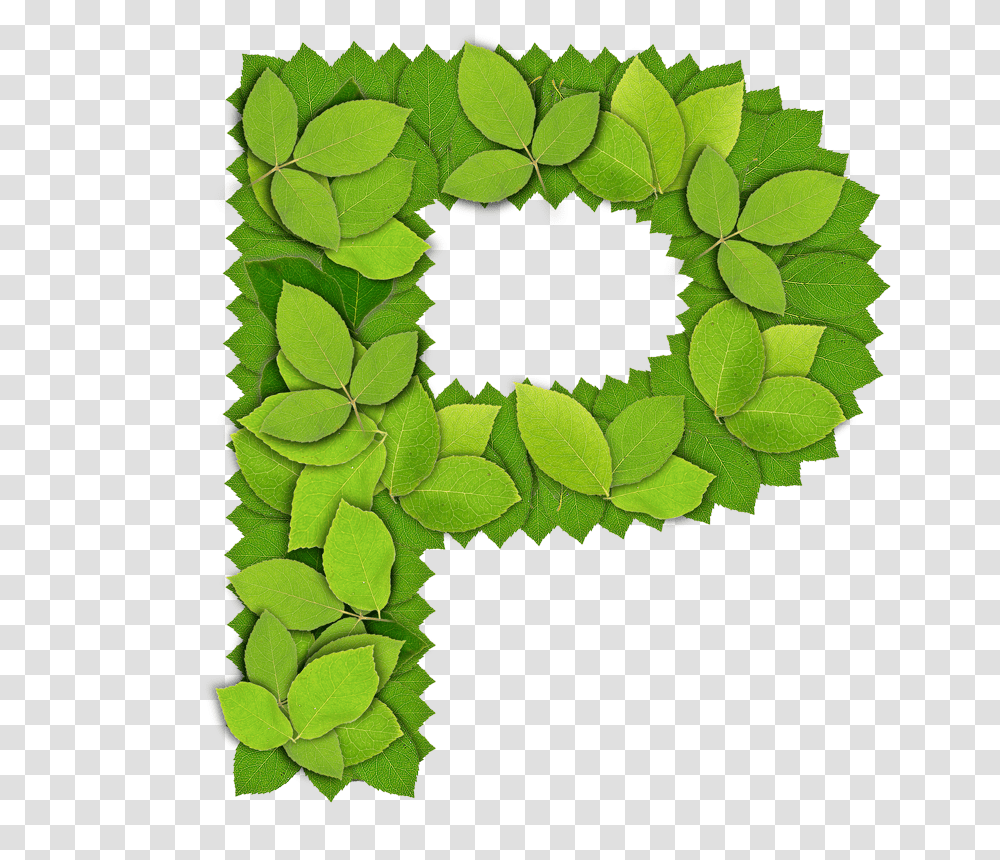 Alphabet, Rug, Wreath, Plant Transparent Png