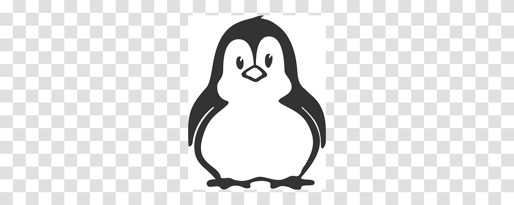 Alphabet Word Images Bird, Animal, Penguin, King Penguin Transparent Png