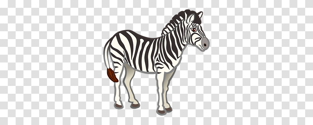 Alphabet Word Images Animals, Zebra, Wildlife, Mammal Transparent Png