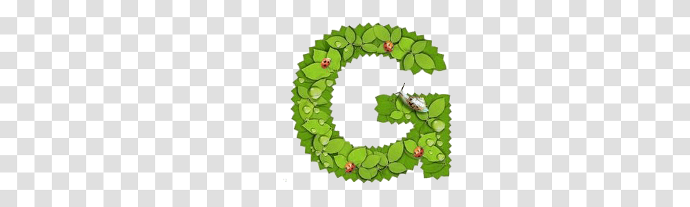 Alphabet, Wreath, Green, Plant Transparent Png