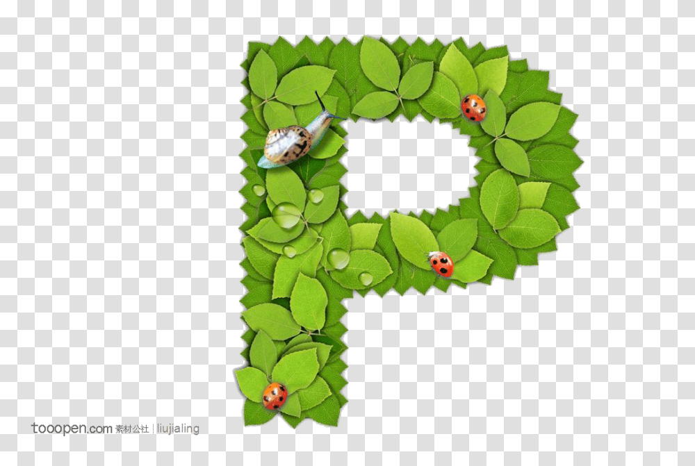 Alphabet, Wreath, Honey Bee, Insect Transparent Png