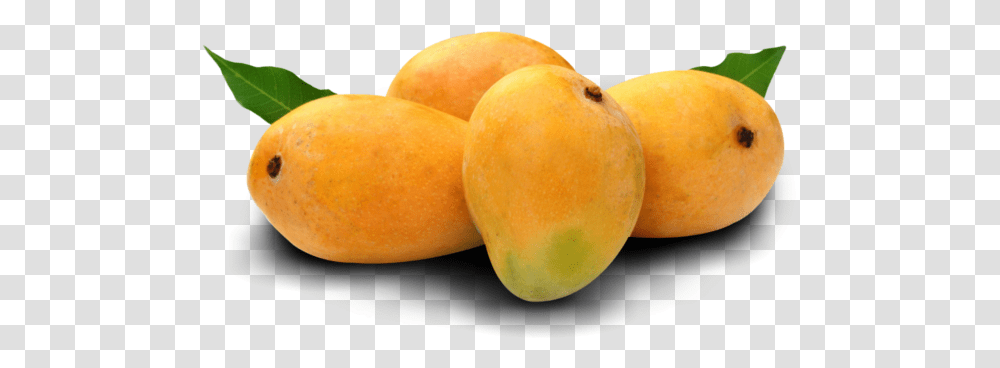 Alphonso Mango 1 Image Mango Images Of Fruits, Plant, Food, Orange, Citrus Fruit Transparent Png