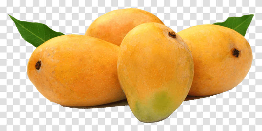 Alphonso Mango, Plant, Fruit, Food, Orange Transparent Png