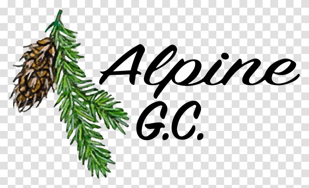 Alpine Golf Club Illustration, Tree, Plant, Fir, Conifer Transparent Png