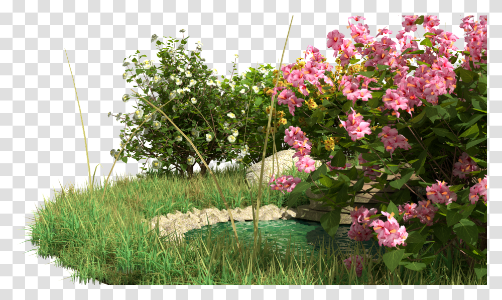 Alpine Hill Scene Contains Bushes Flowers Rocks Water Fountain And Grass Rosa Wichuraiana, Plant, Geranium, Outdoors, Garden Transparent Png