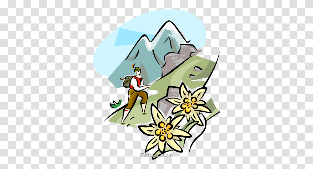 Alps Clipart Edelweiss, Outdoors, Poster, Nature Transparent Png