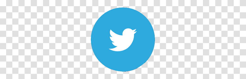 Alquema Fruits Vegetables, Animal, Bird, Balloon Transparent Png