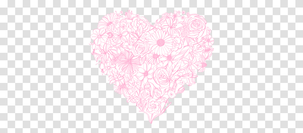 Already Image Illustration, Plant, Flower, Blossom, Carnation Transparent Png