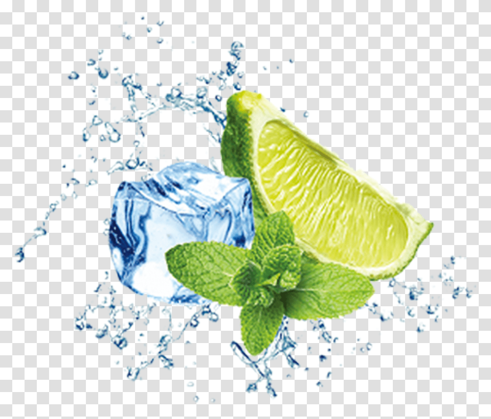 Also Used In Cooking And Baking Are Pulp And Rind Ice Water Splash, Plant, Lime, Citrus Fruit, Food Transparent Png