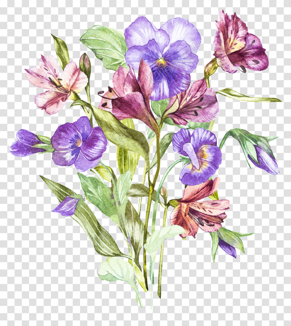 Alstroemeria Flower Drawing, Plant, Blossom, Geranium, Iris Transparent Png