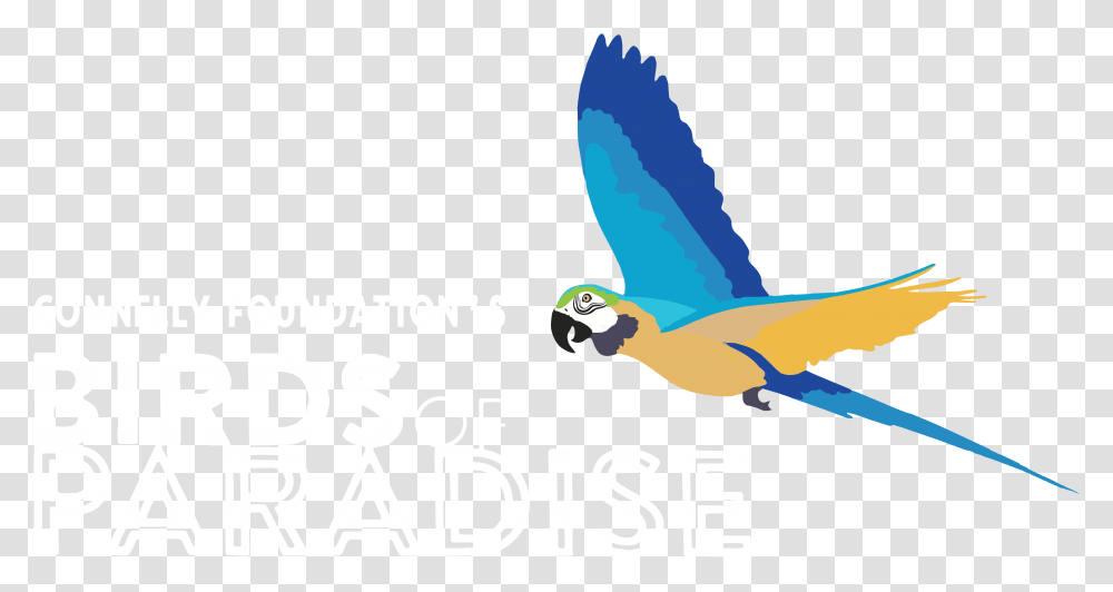 Alt Text Macaw, Bird, Animal, Parrot, Bluebird Transparent Png
