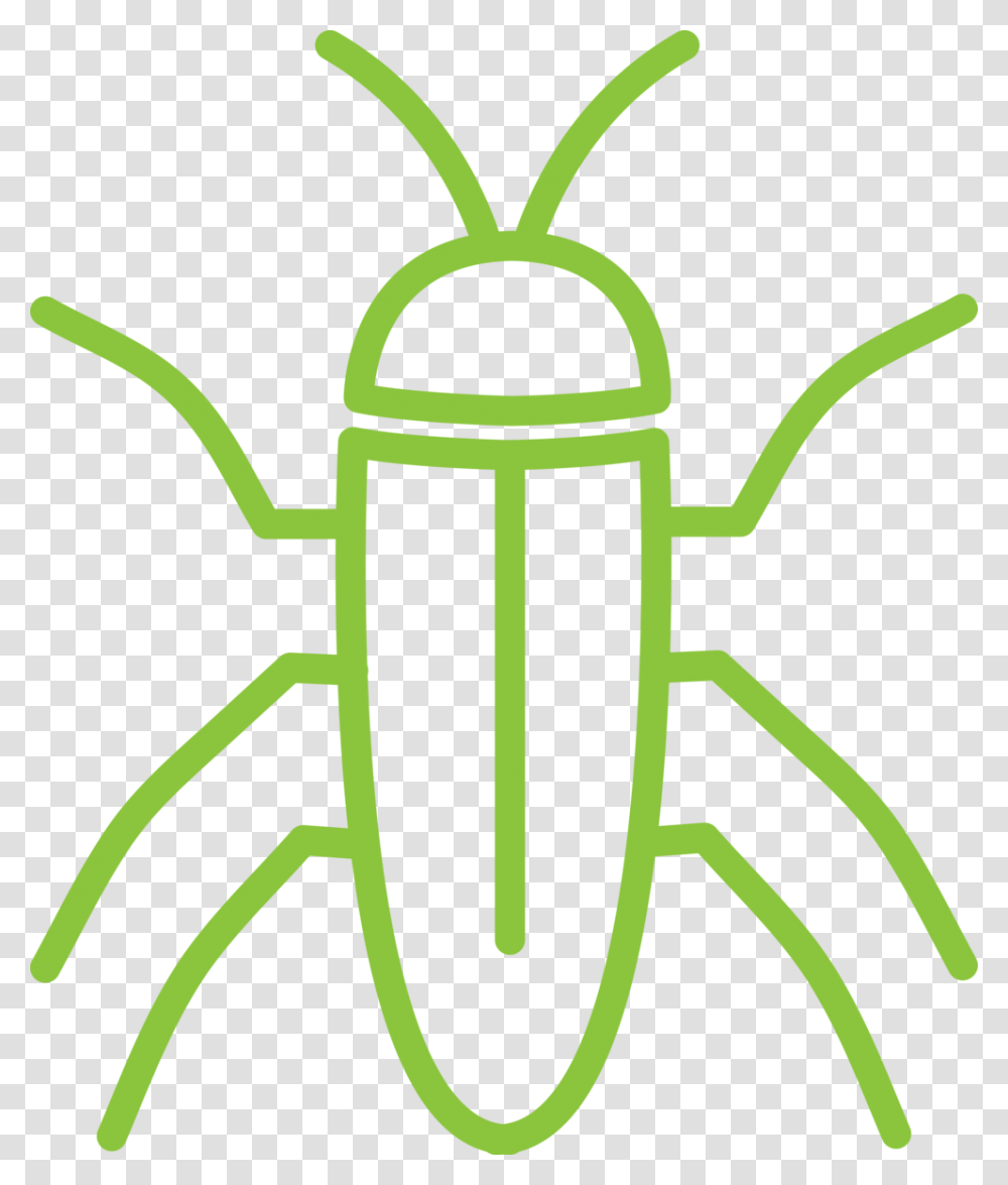 Alta Cockroach Icon, Animal, Insect, Invertebrate, Jar Transparent Png