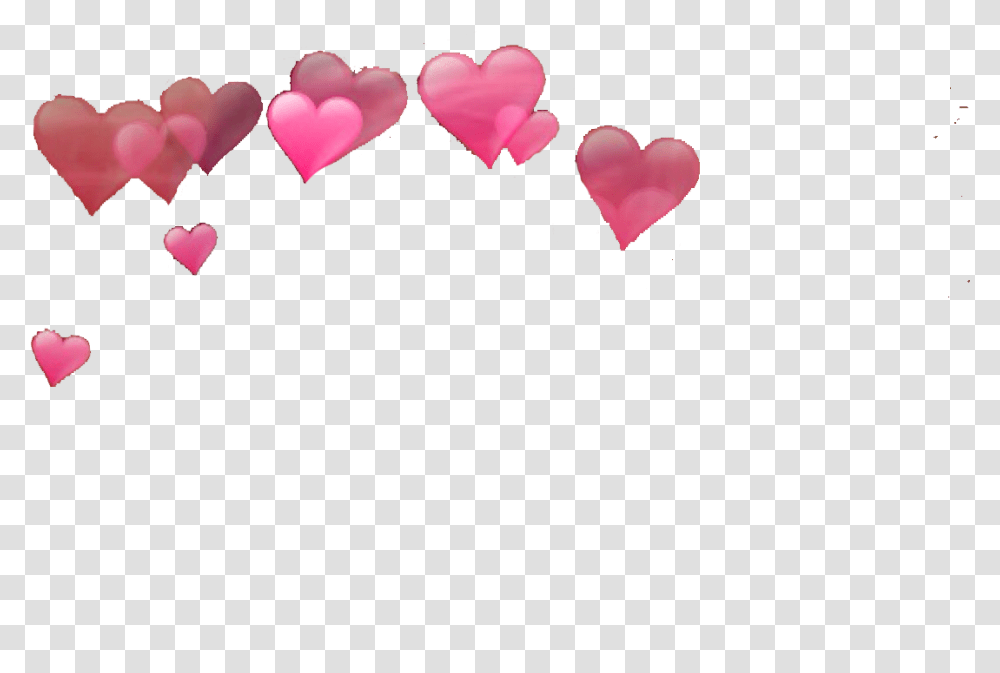 Alternative And Edit Image Heart Effects On Head, Petal, Flower, Plant, Blossom Transparent Png