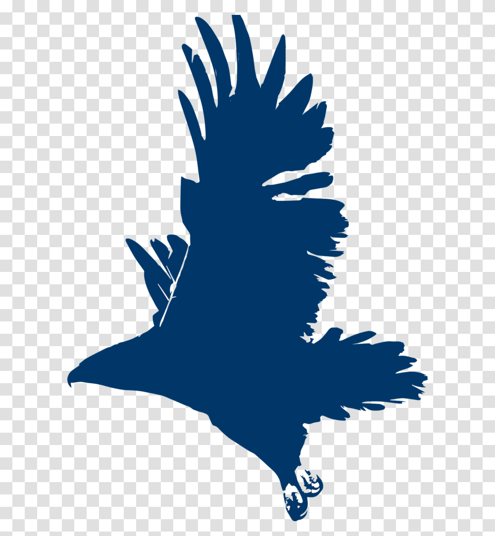 Alumni Affairs, Silhouette, Poultry, Fowl, Bird Transparent Png